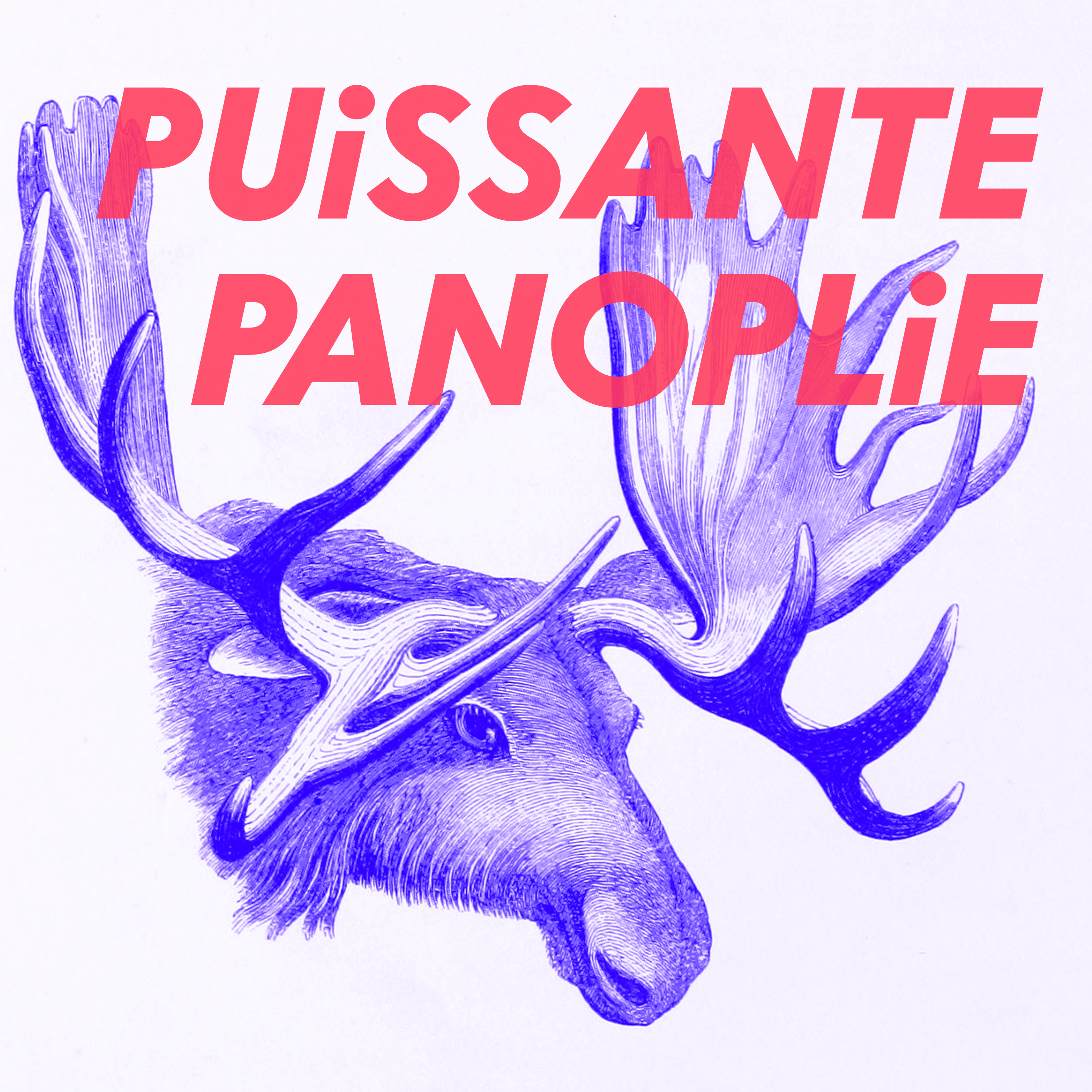 Artwork for podcast Puissante Panoplie