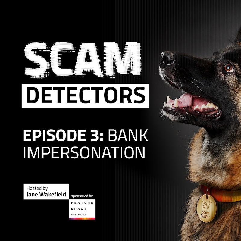 Artwork for podcast Scam Detectors