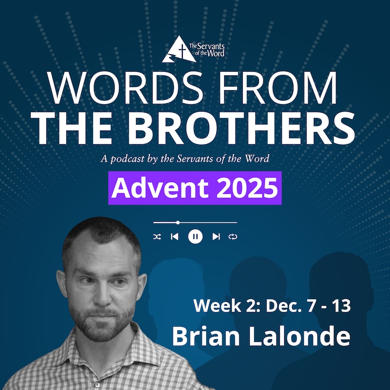 Artwork for podcast Words From the Brothers
