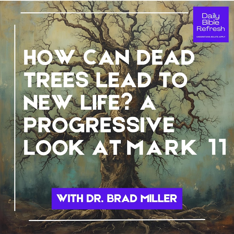 Artwork for podcast Daily Bible Refresh