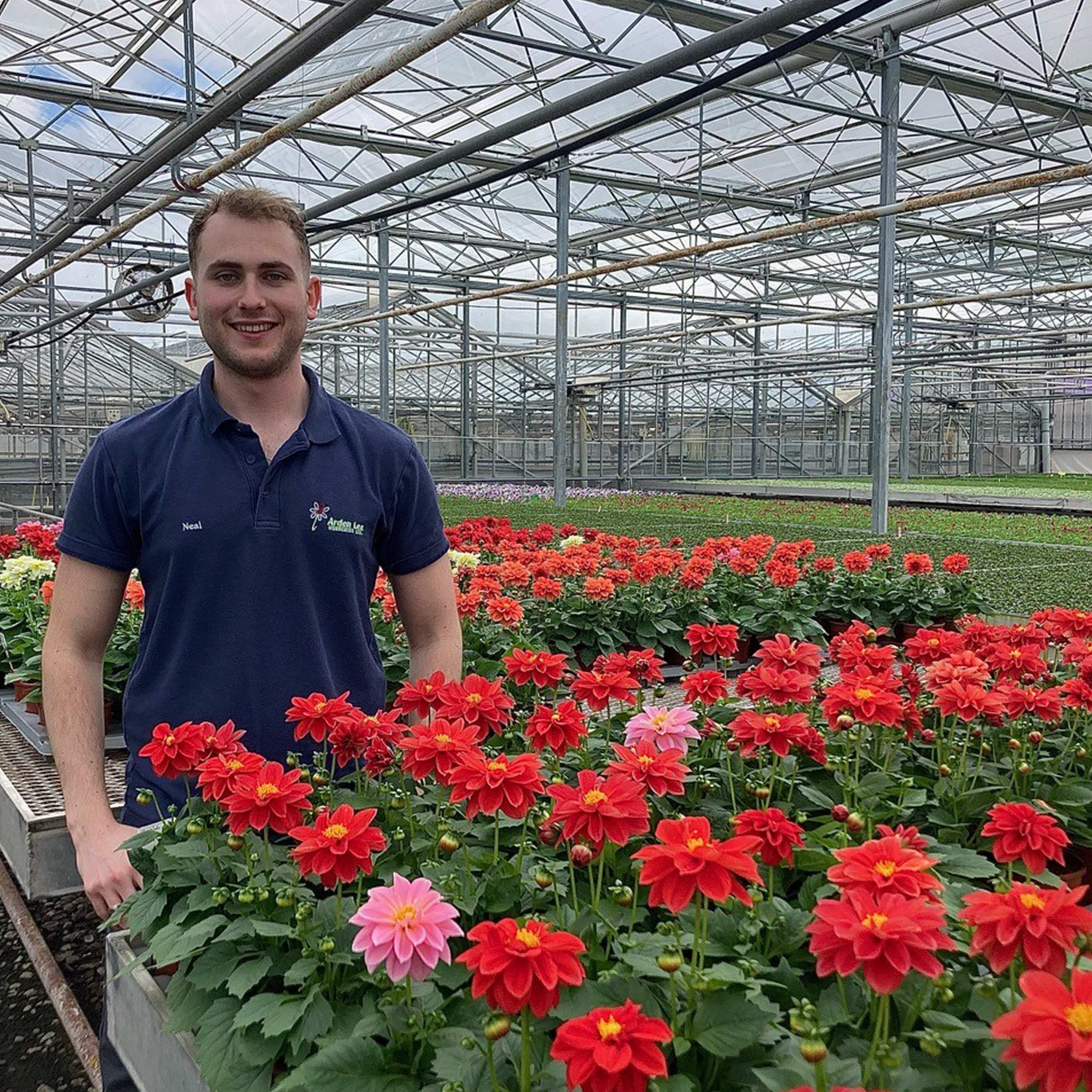 Neal Ritson Career Changer From Music Producer to Grower