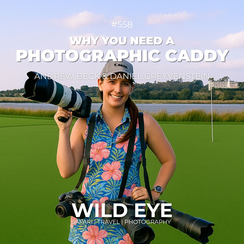 Artwork for podcast The Wild Eye Podcast