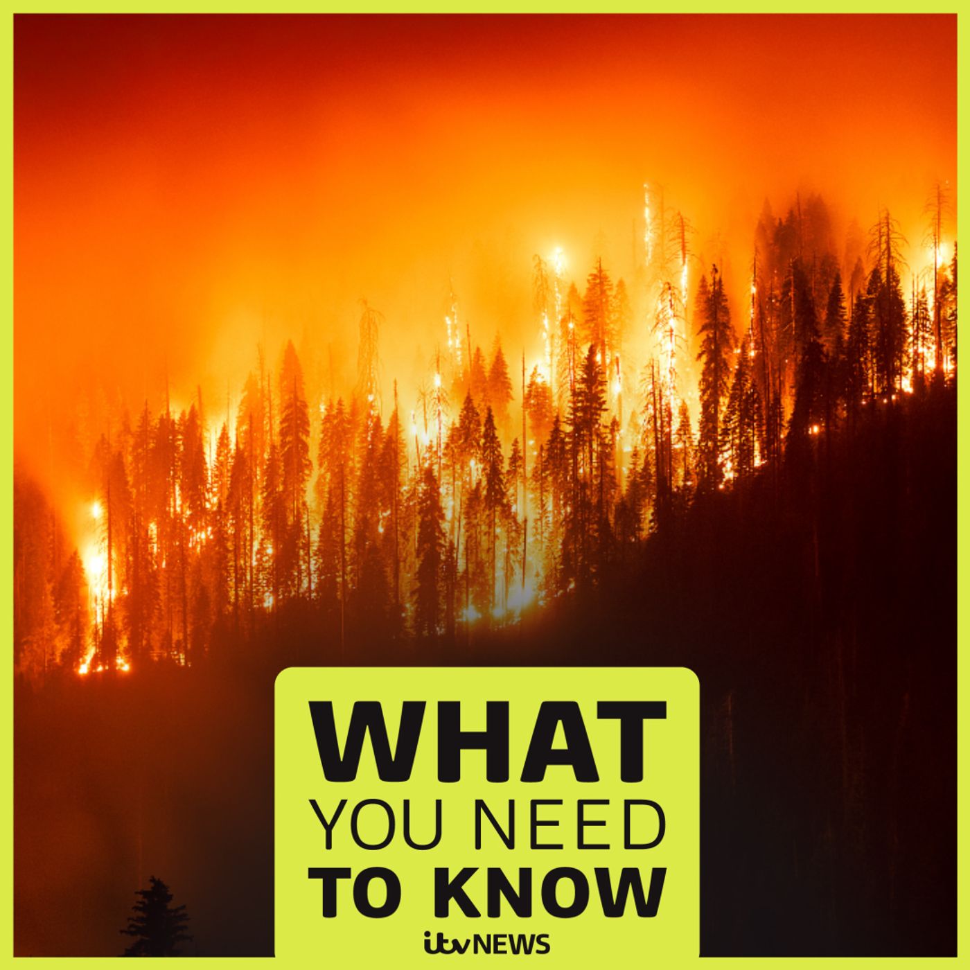 What's behind the rise of extreme wildfires and the UK's first 'mega fire'