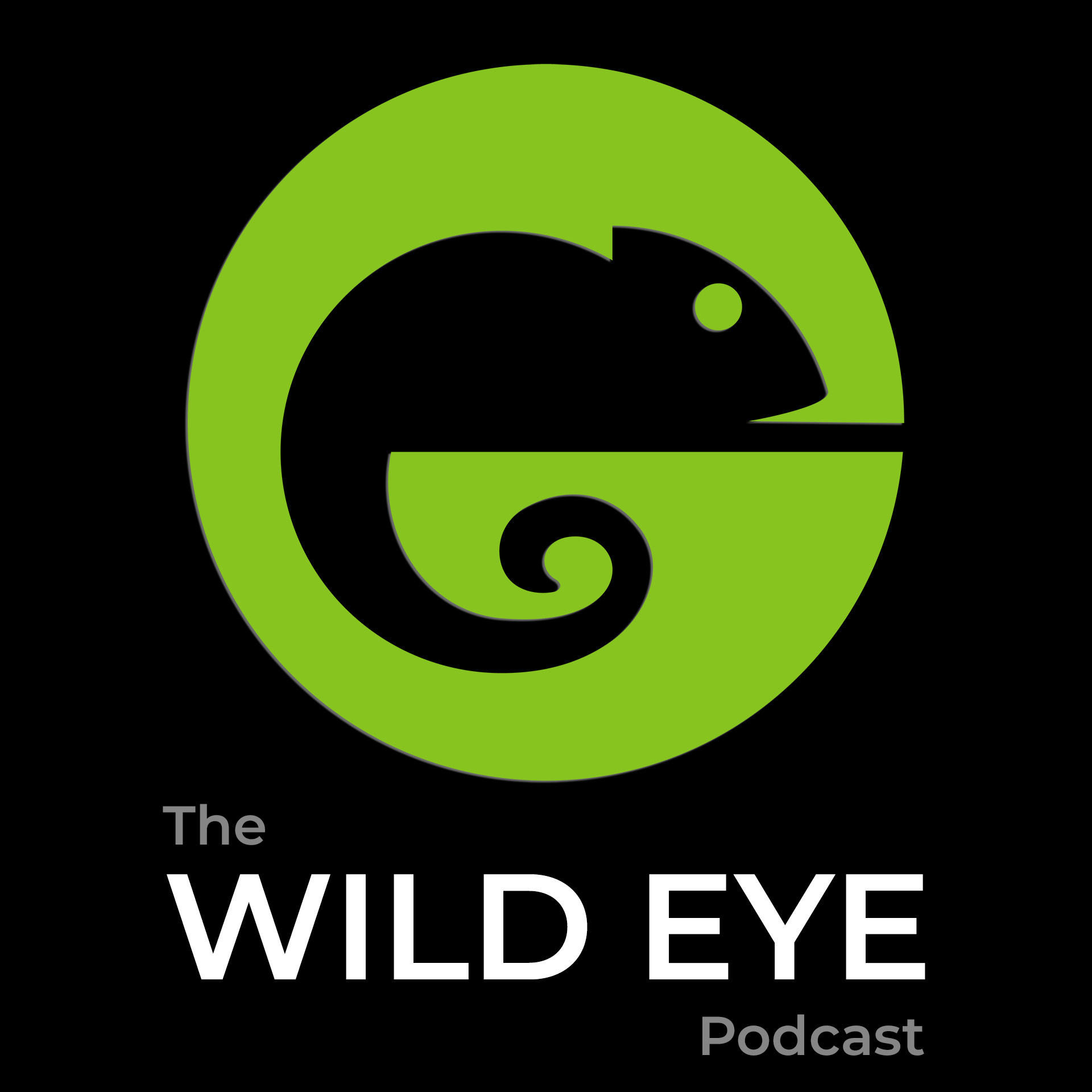 Show artwork for The Wild Eye Podcast