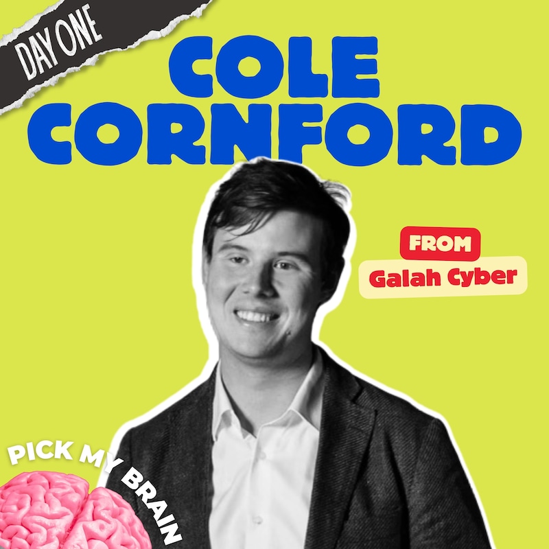 Artwork for podcast Pick My Brain with Alan 'the nice one' Jones