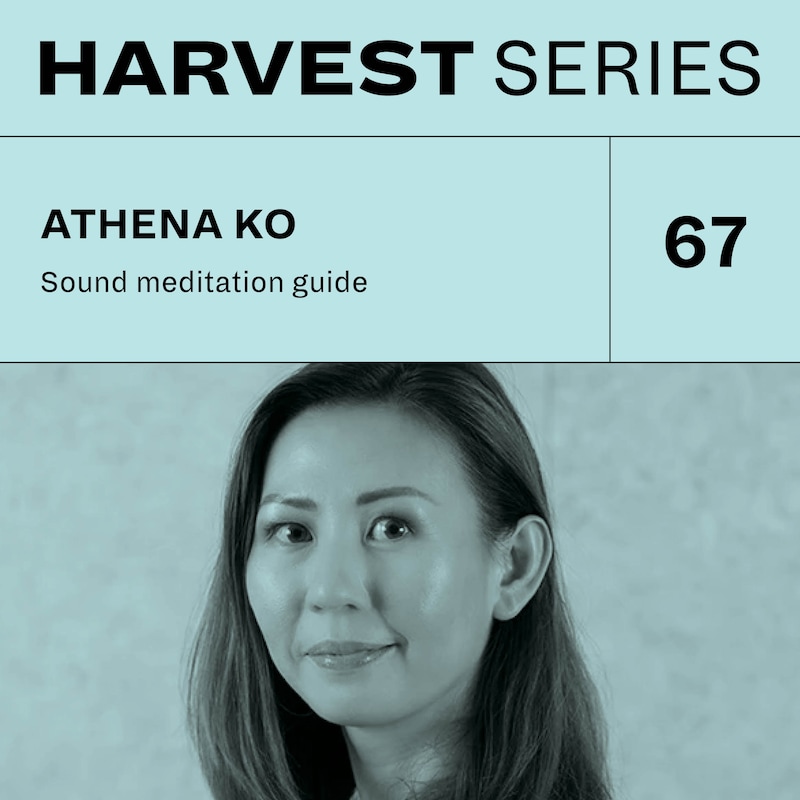Artwork for podcast Harvest Series