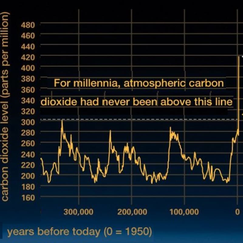 Artwork for podcast Raglan Talking to Raglan