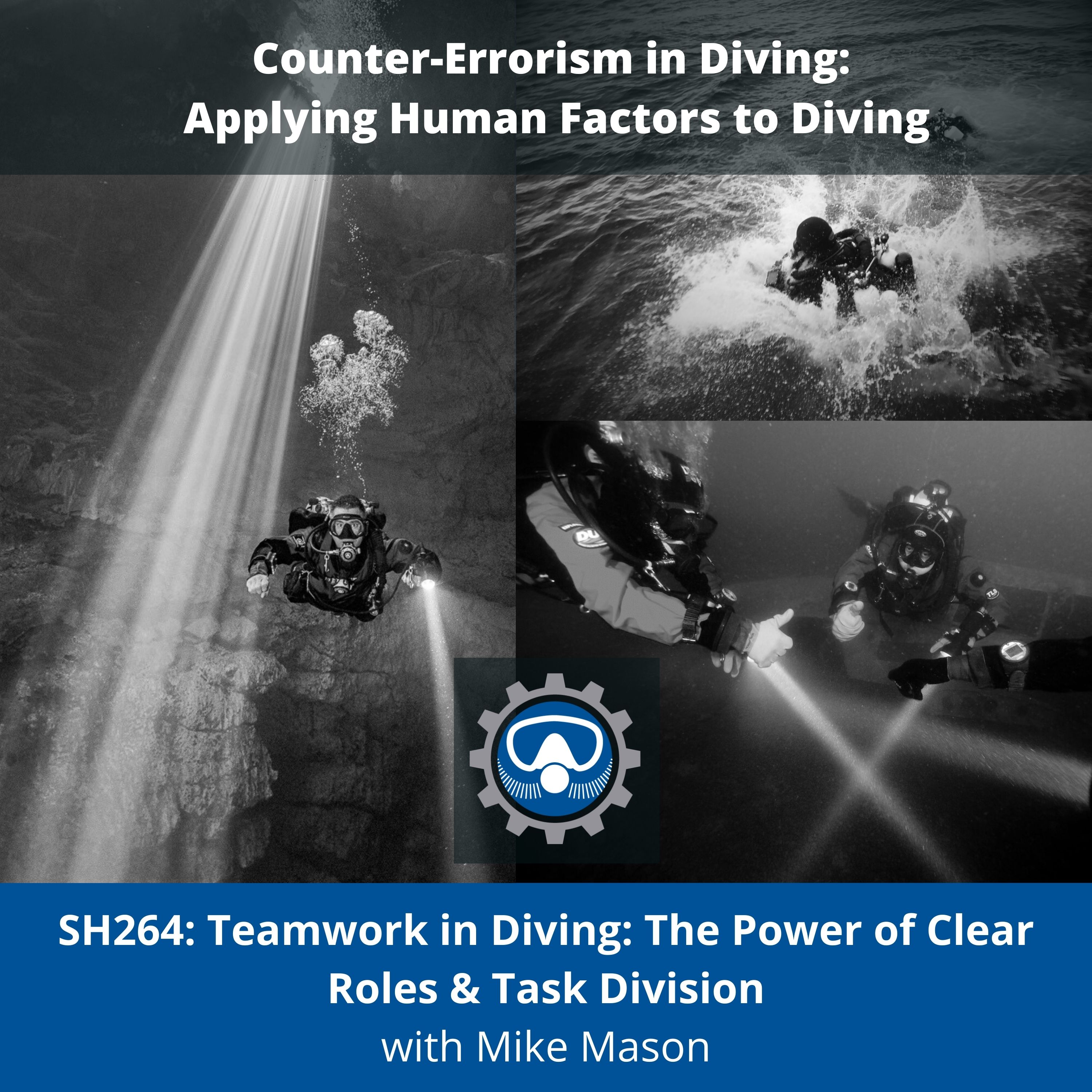 SH264: Teamwork in Diving: The Power of Clear Roles & Task Division