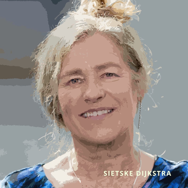 Artwork for podcast Pleisterplaats