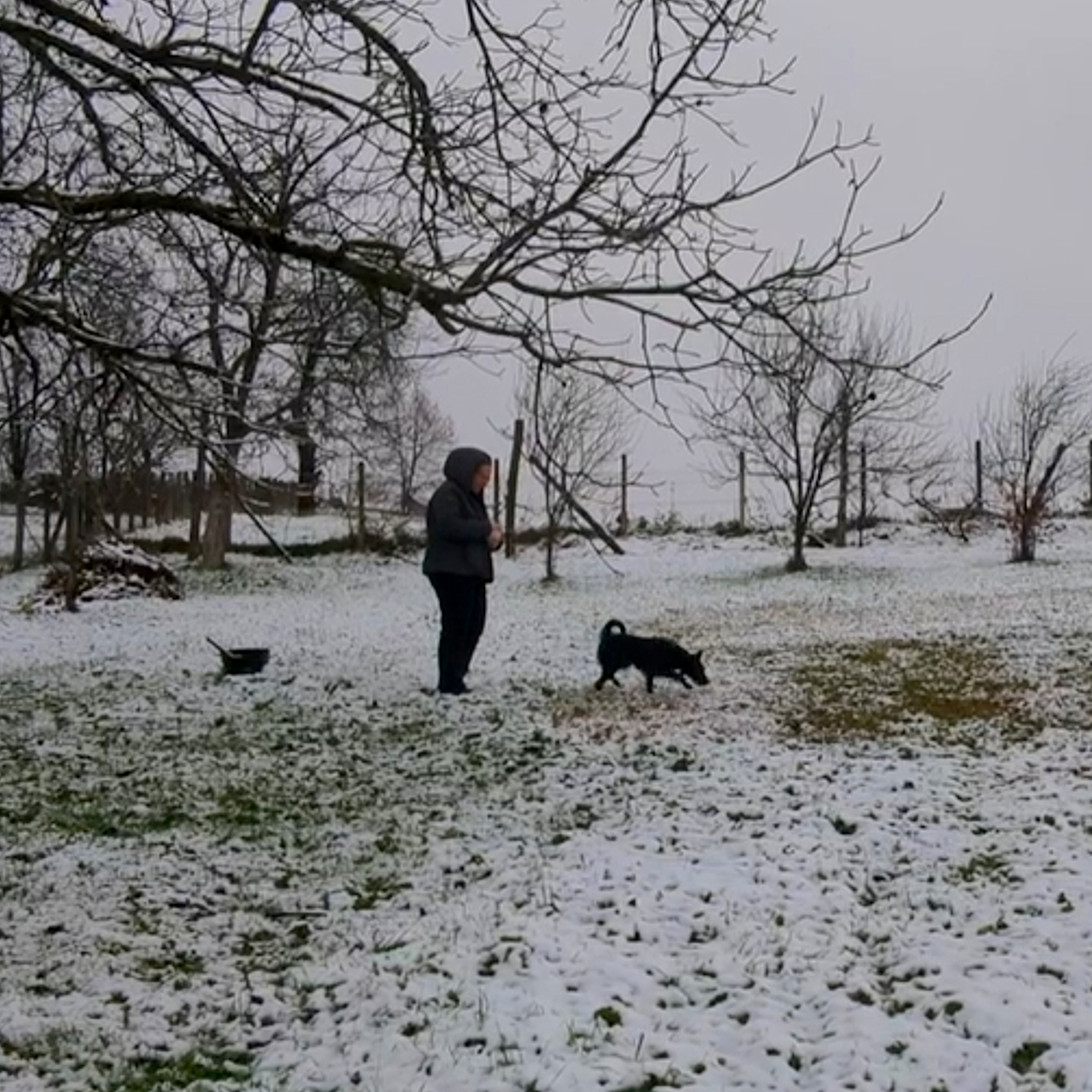 Coffee Talk Episode 2 - Village Life, Fibi might Have Epilepsy, and Seasonal Festivities