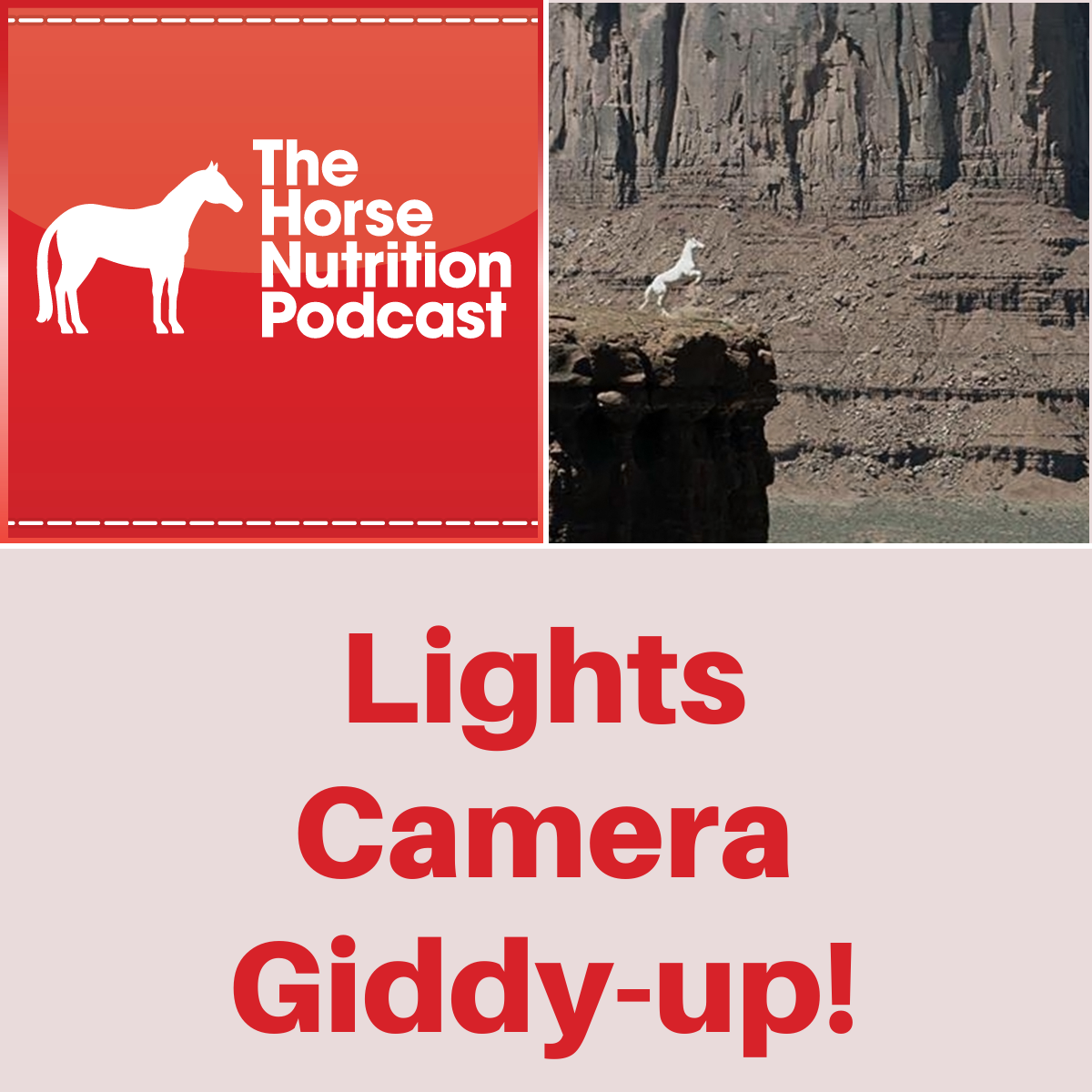 Lights, Camera, Giddy-up!