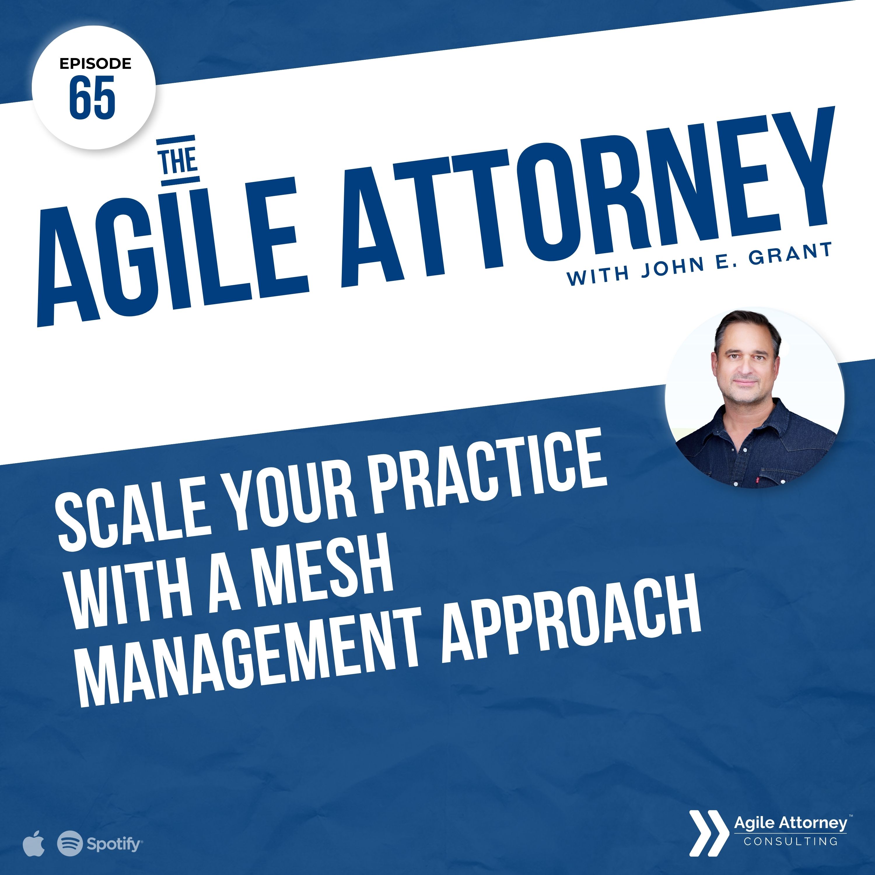 065. Scale Your Practice with a Mesh Management Approach