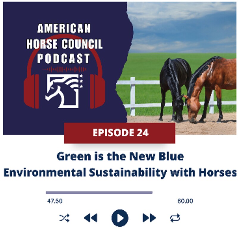 Artwork for podcast American Horse Council Podcast