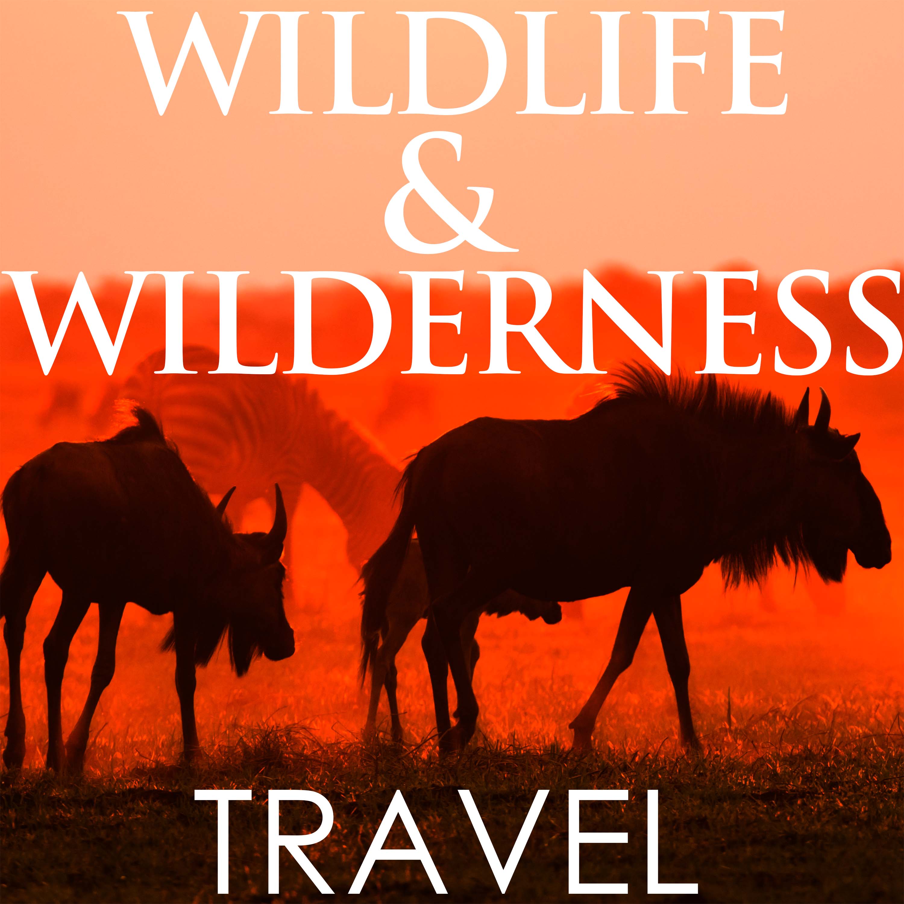 Artwork for podcast Wildlife & Wilderness Travel & Safaris
