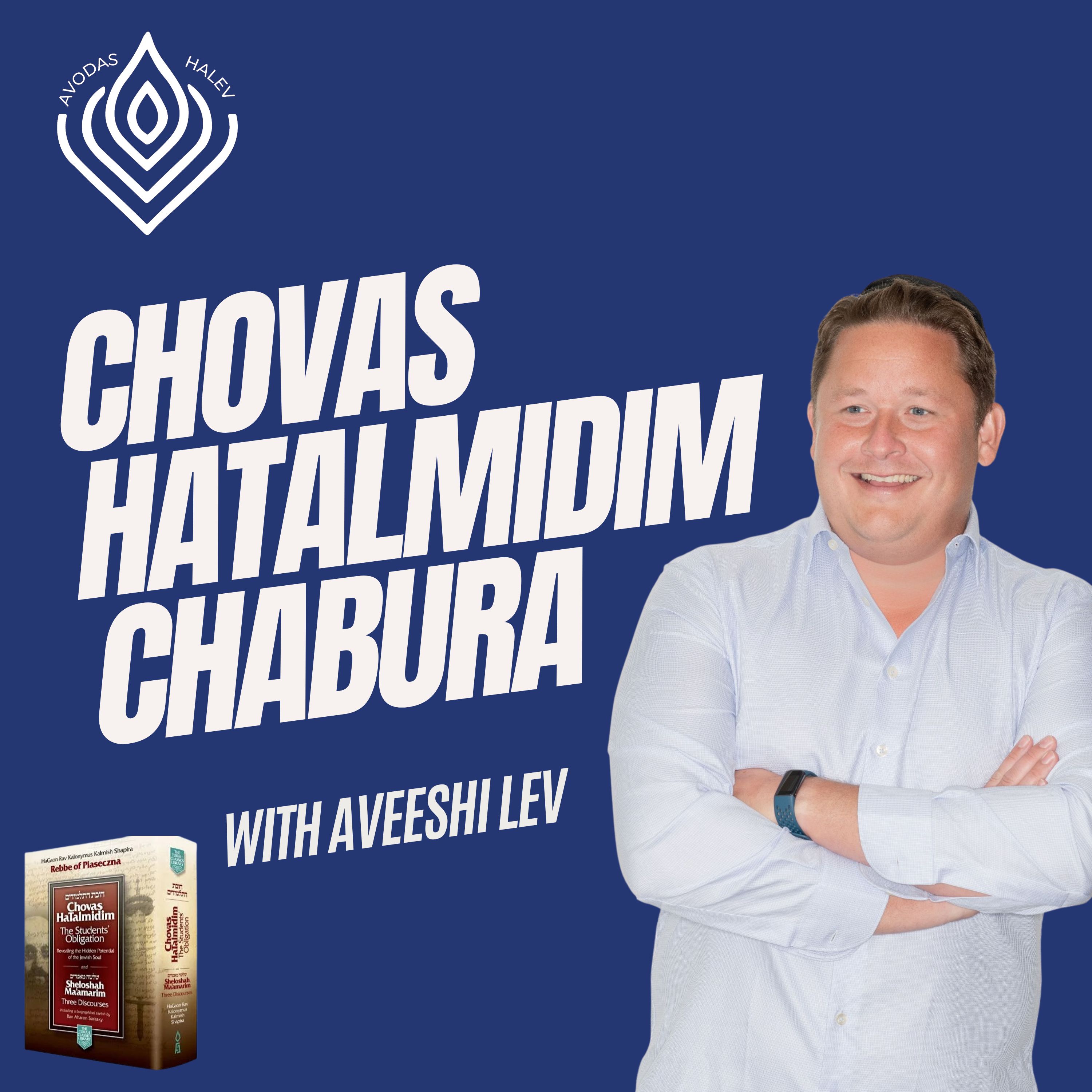 Artwork for Chovas Hatalmidim