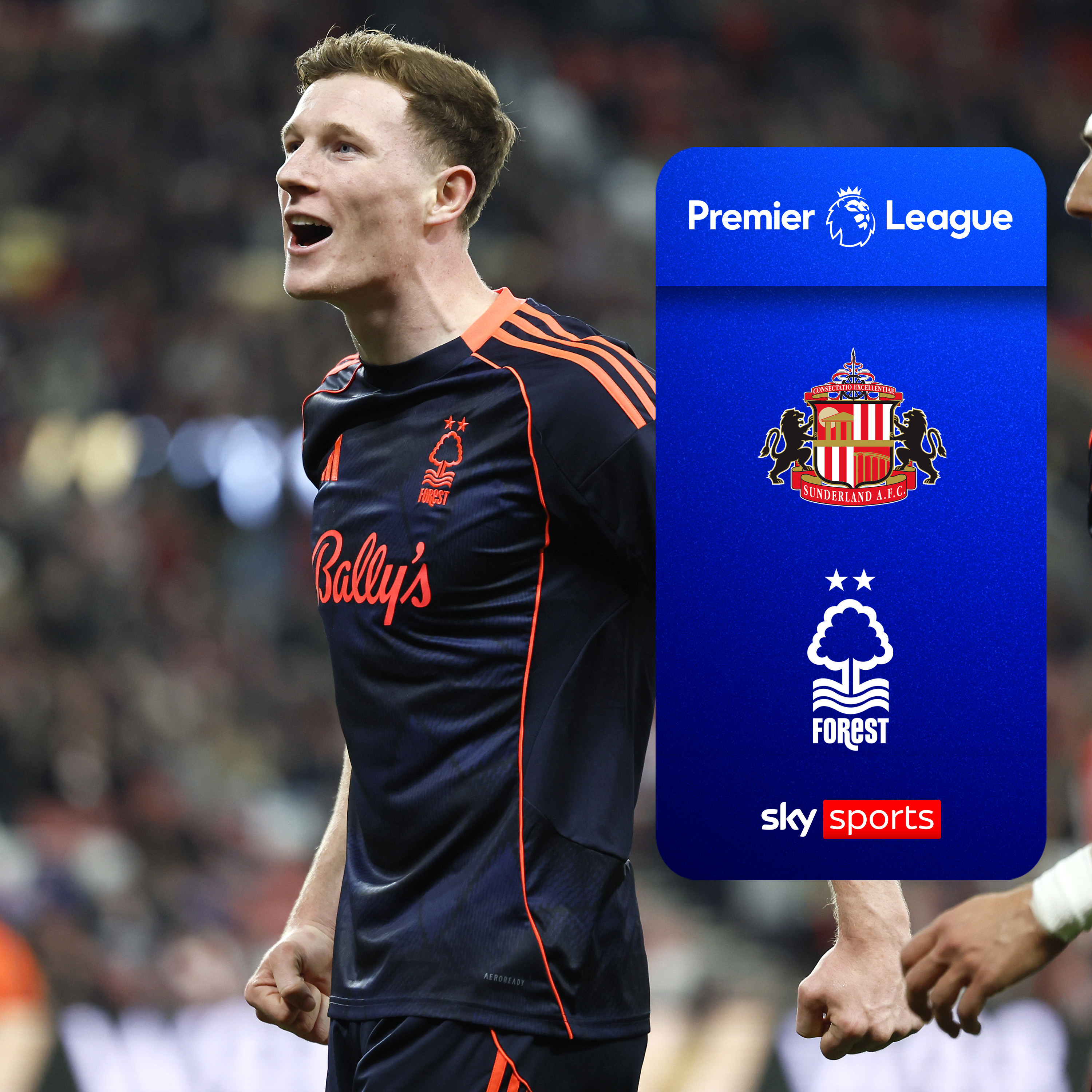 Forest take huge step towards safety after five goal thrashing of Sunderland
