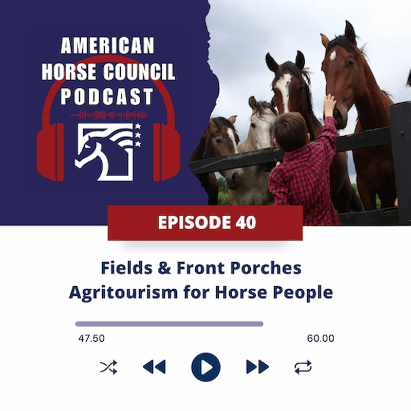Artwork for podcast American Horse Council Podcast