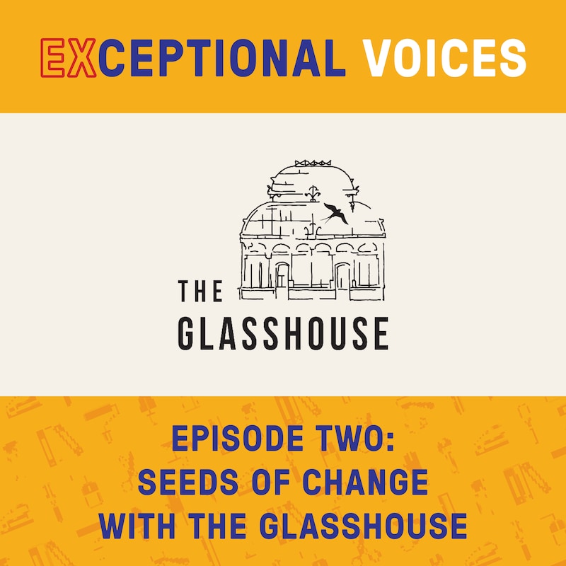 Artwork for podcast Exceptional Voices