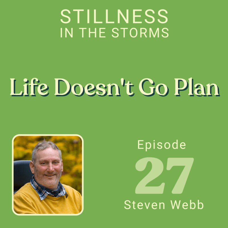 Artwork for podcast Stillness in the Storms