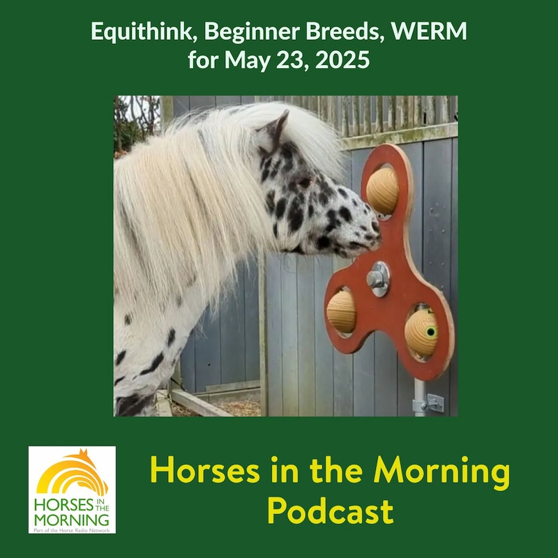 Artwork for podcast HORSES IN THE MORNING