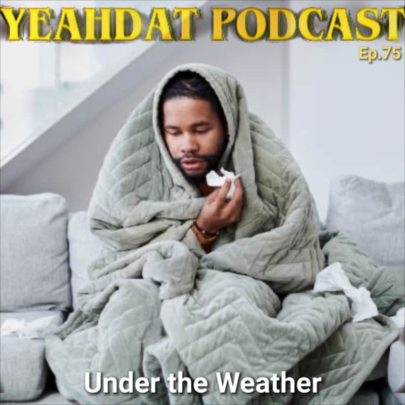 Artwork for podcast The YeahDat Podcast