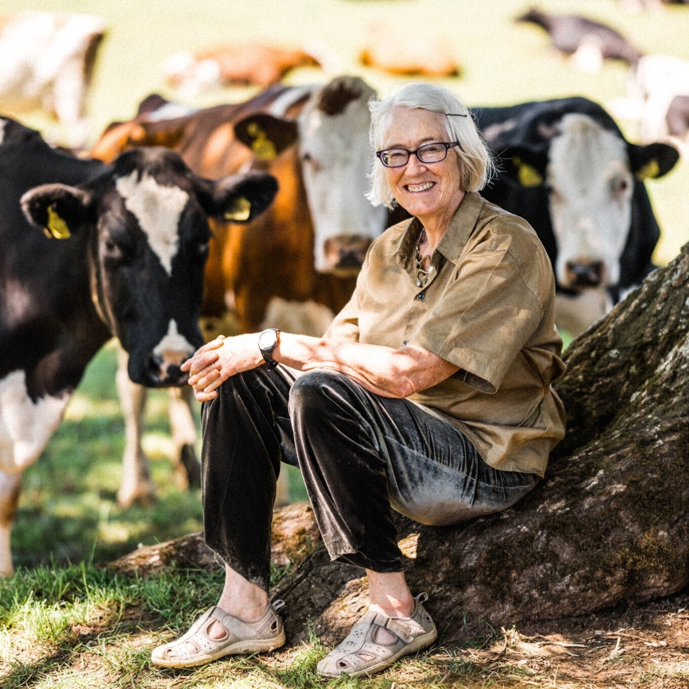 AHDB Food & Farming