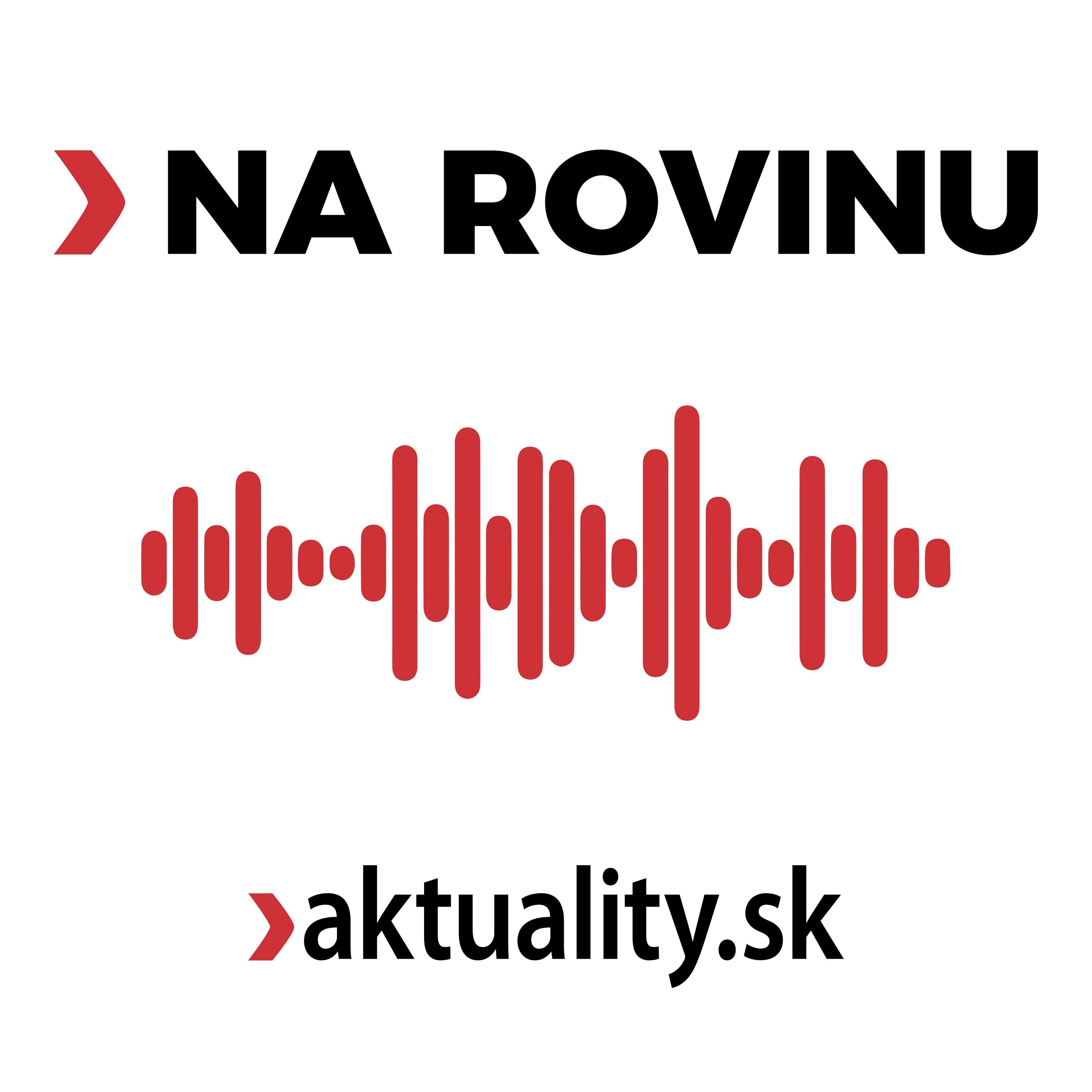 NA ROVINU s Jánom Mazákom: Na korupciu sme si zvykli ako na prirodzenú súčasť života (Epizóda 49/26) episode artwork