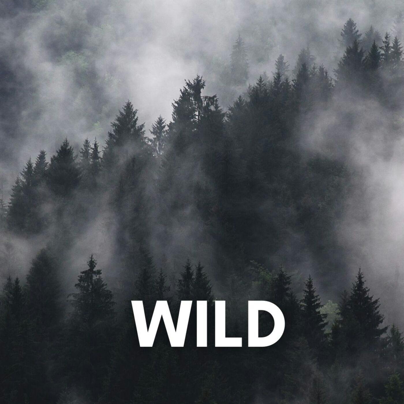 Wild: An Elemental Journey through Earth, Ice, Fire and Air with Nature Writer Jay Griffiths