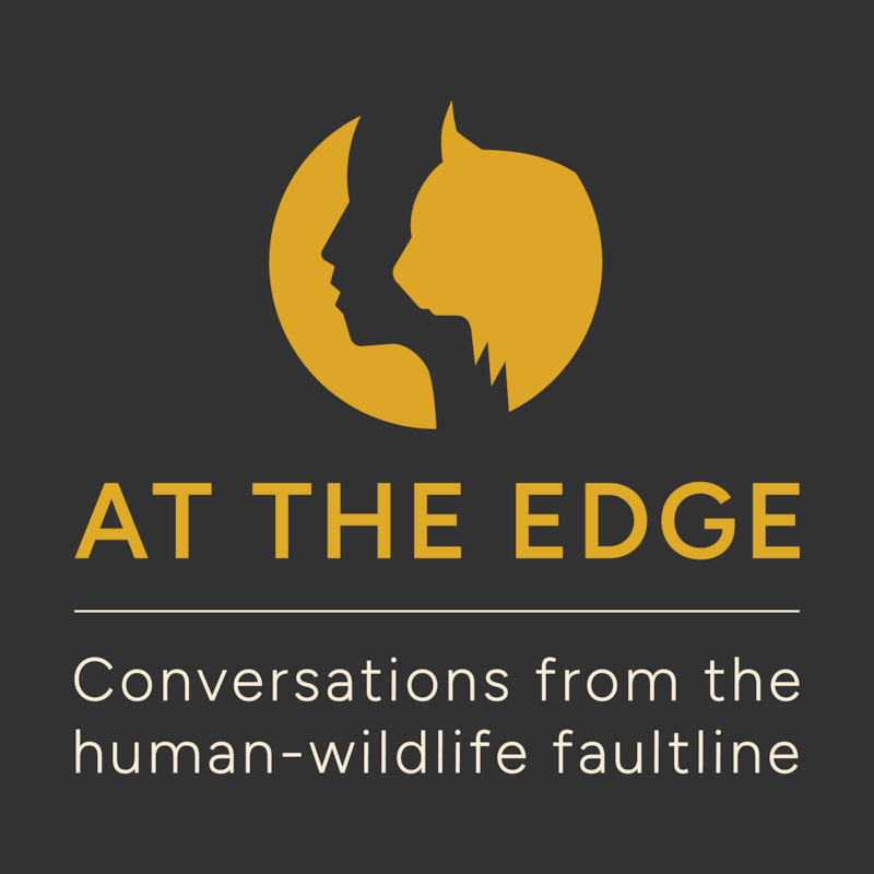 Artwork for podcast At the Edge
