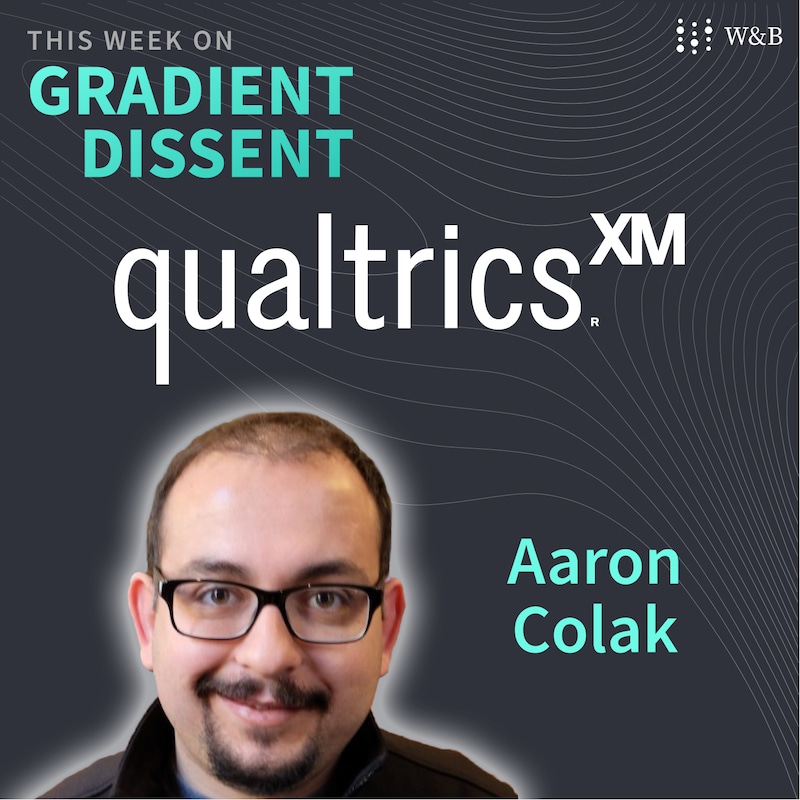 Artwork for podcast Gradient Dissent: Conversations on AI