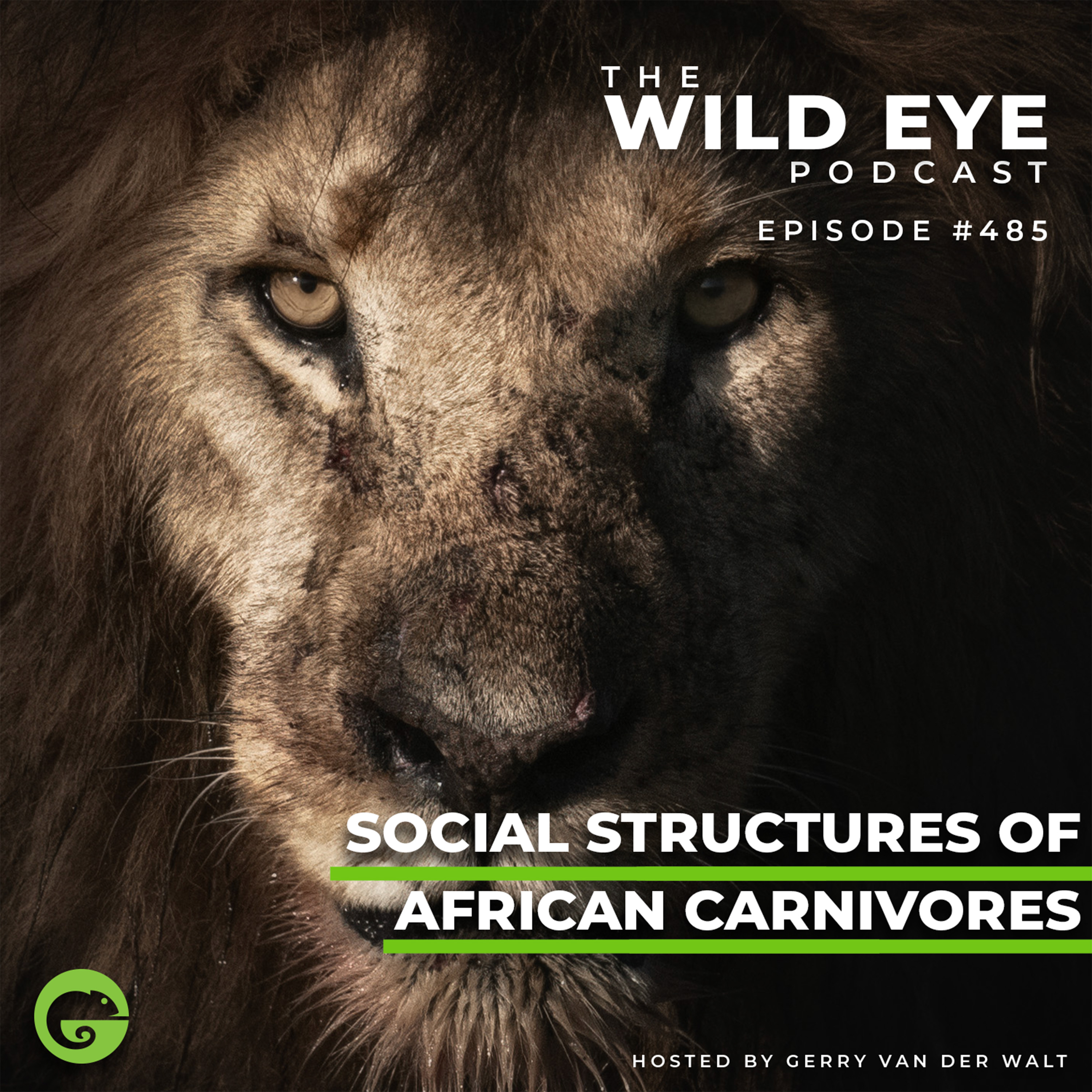 #485 - Social structures of African carnivores