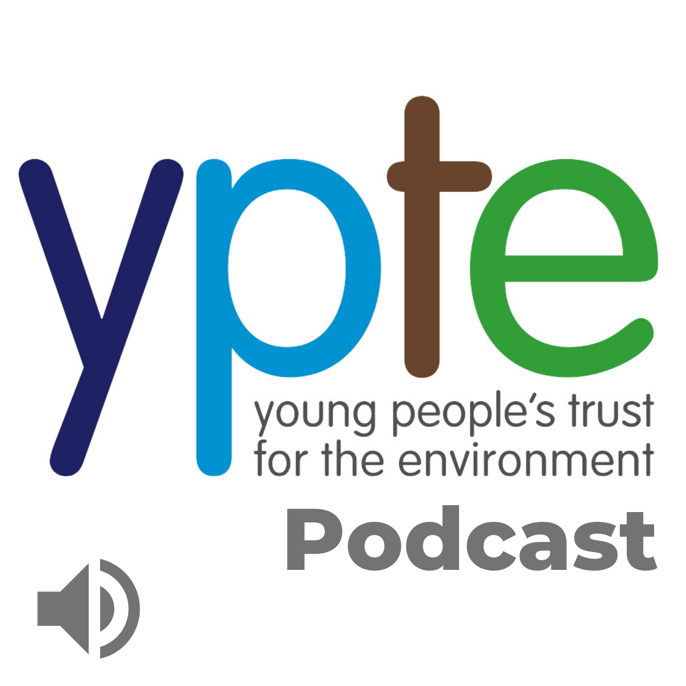 Artwork for podcast YPTE Podcast