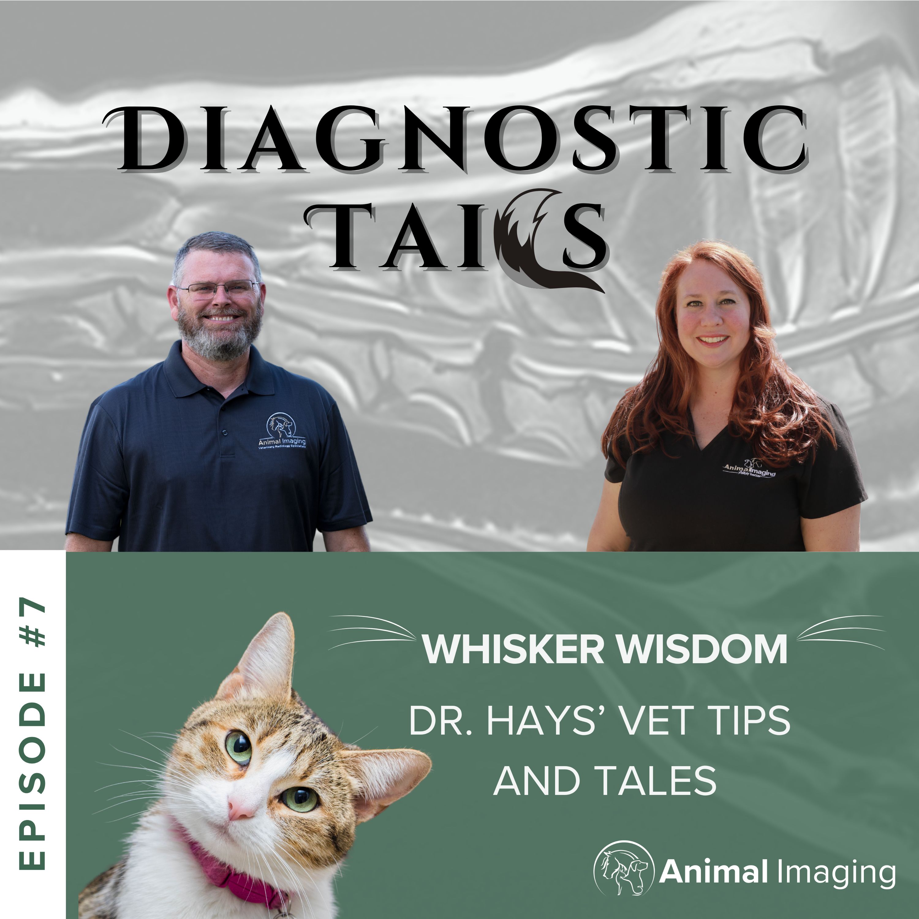 Diagnostic Tails