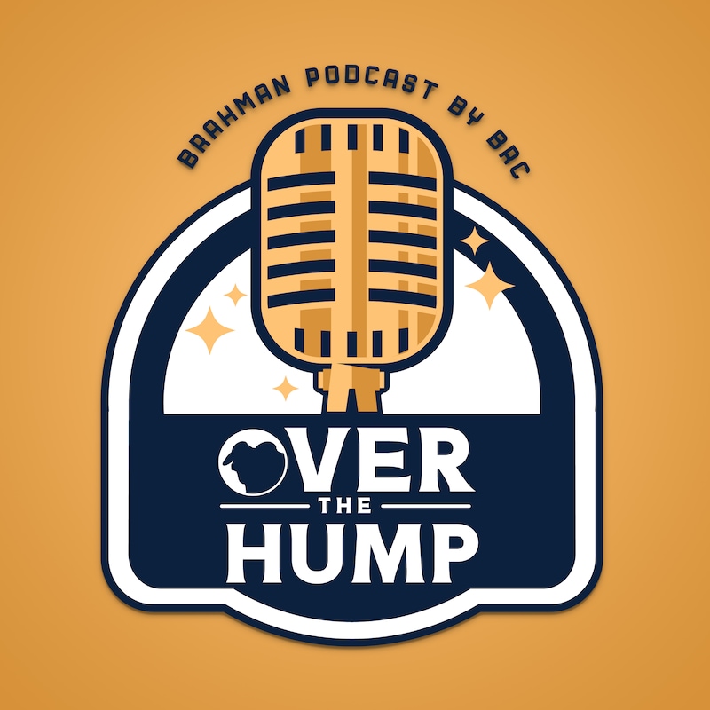 Artwork for podcast Over the Hump