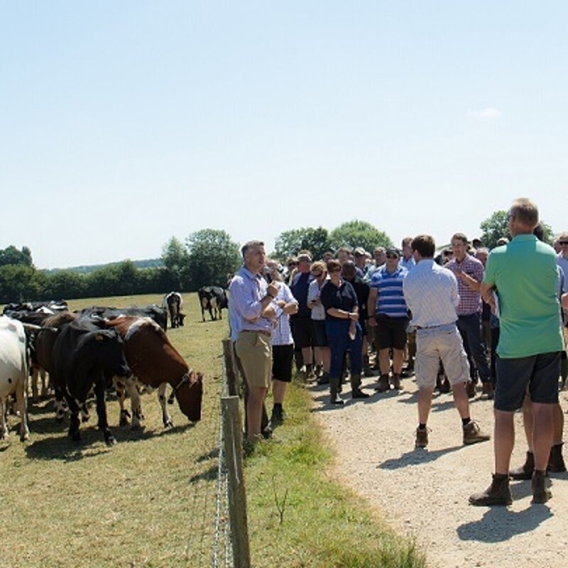 Artwork for podcast AHDB Food & Farming