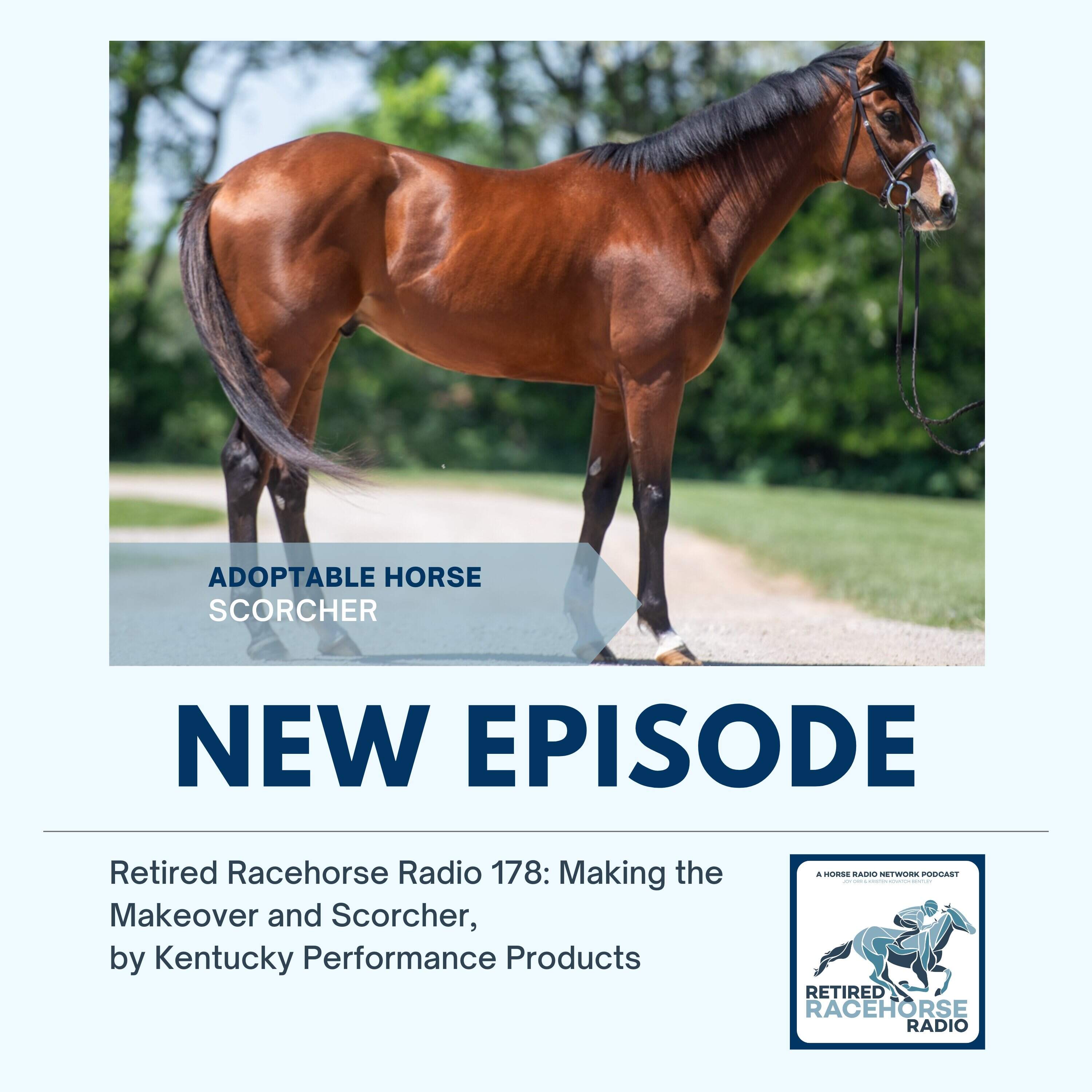 Making the Makeover Update and Scorcher by Kentucky Performance Products - Retired Racehorse Radio