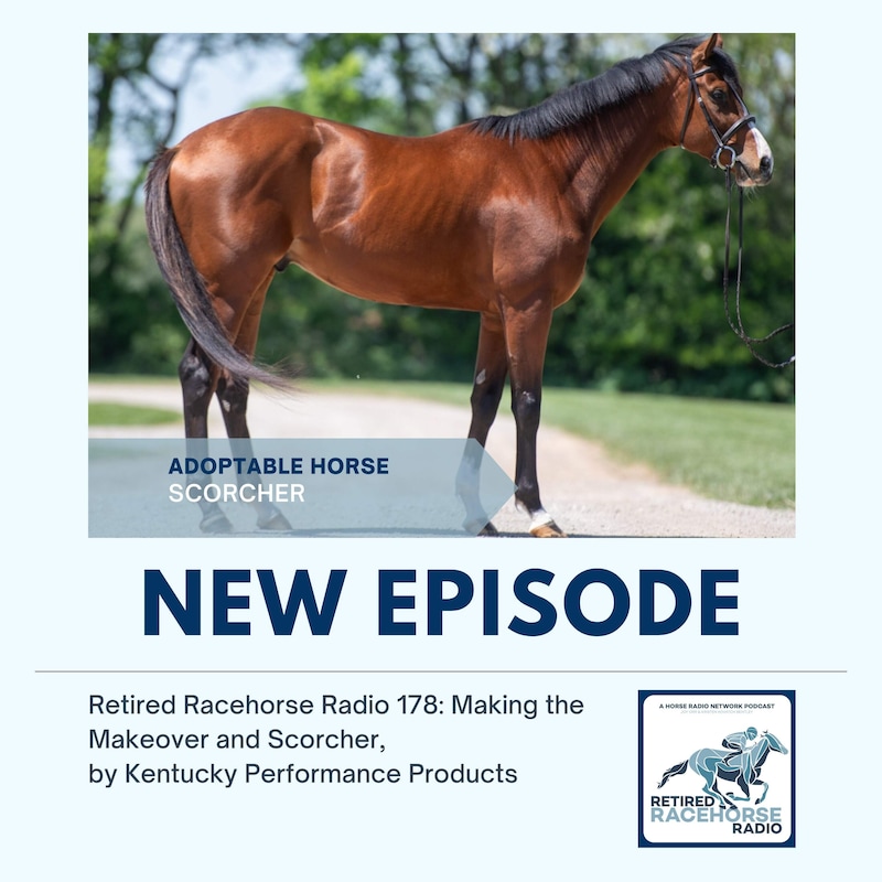 Artwork for podcast Retired Racehorse Radio