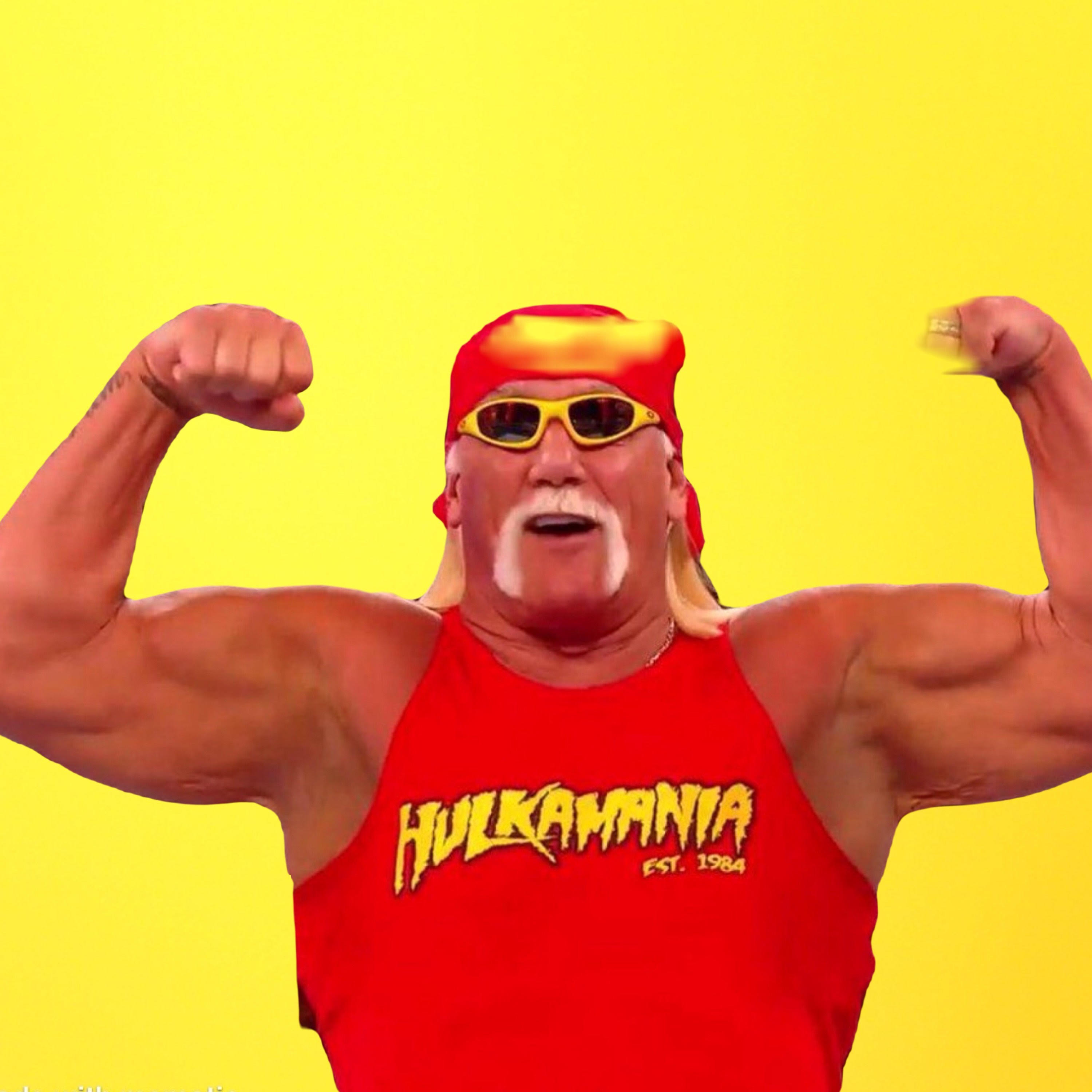 R.I.P. Hulk Hogan Flash-Cast