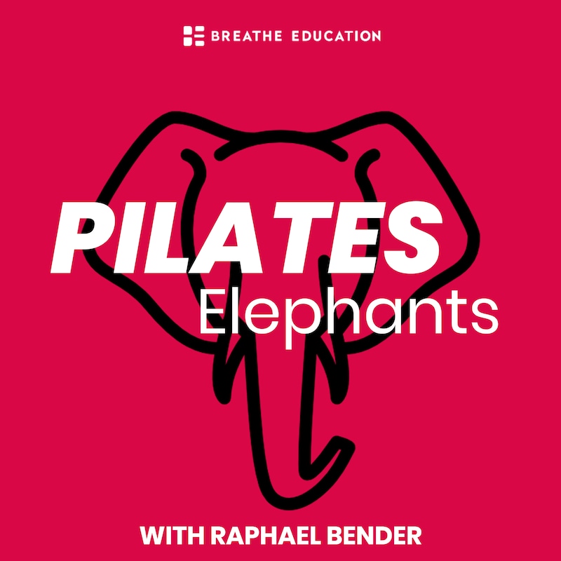Artwork for podcast Pilates Elephants