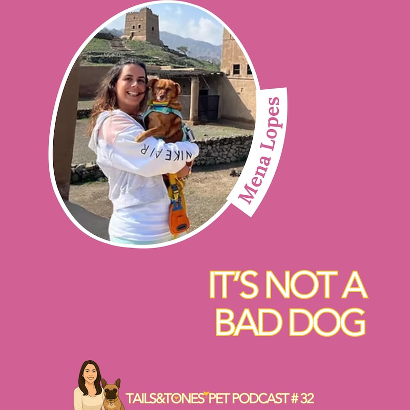 Artwork for podcast Tails and Tones