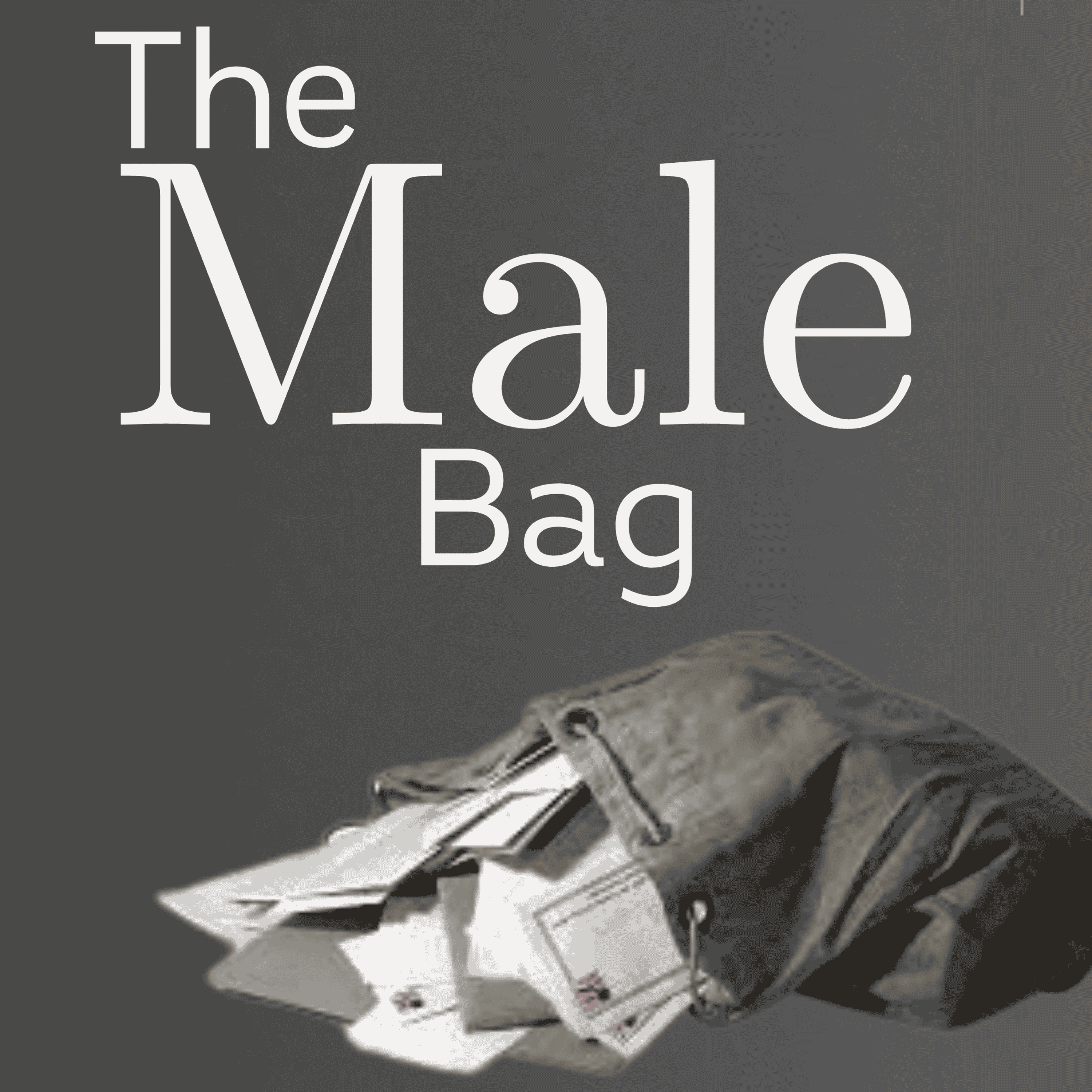 Male Bag | Not Just a Chauffeur: The Fight to Be Seen