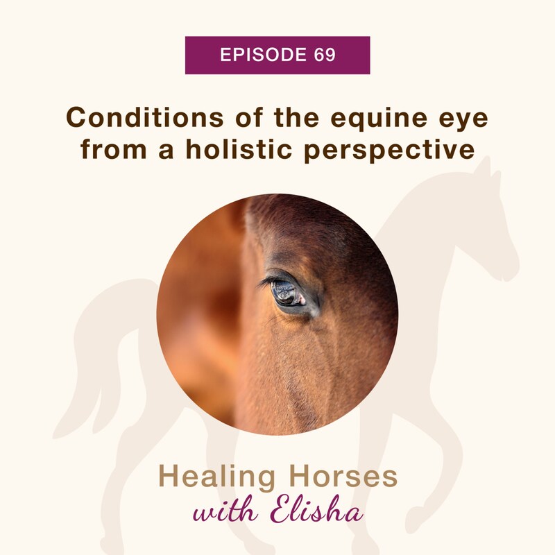 Artwork for podcast Healing Horses with Elisha