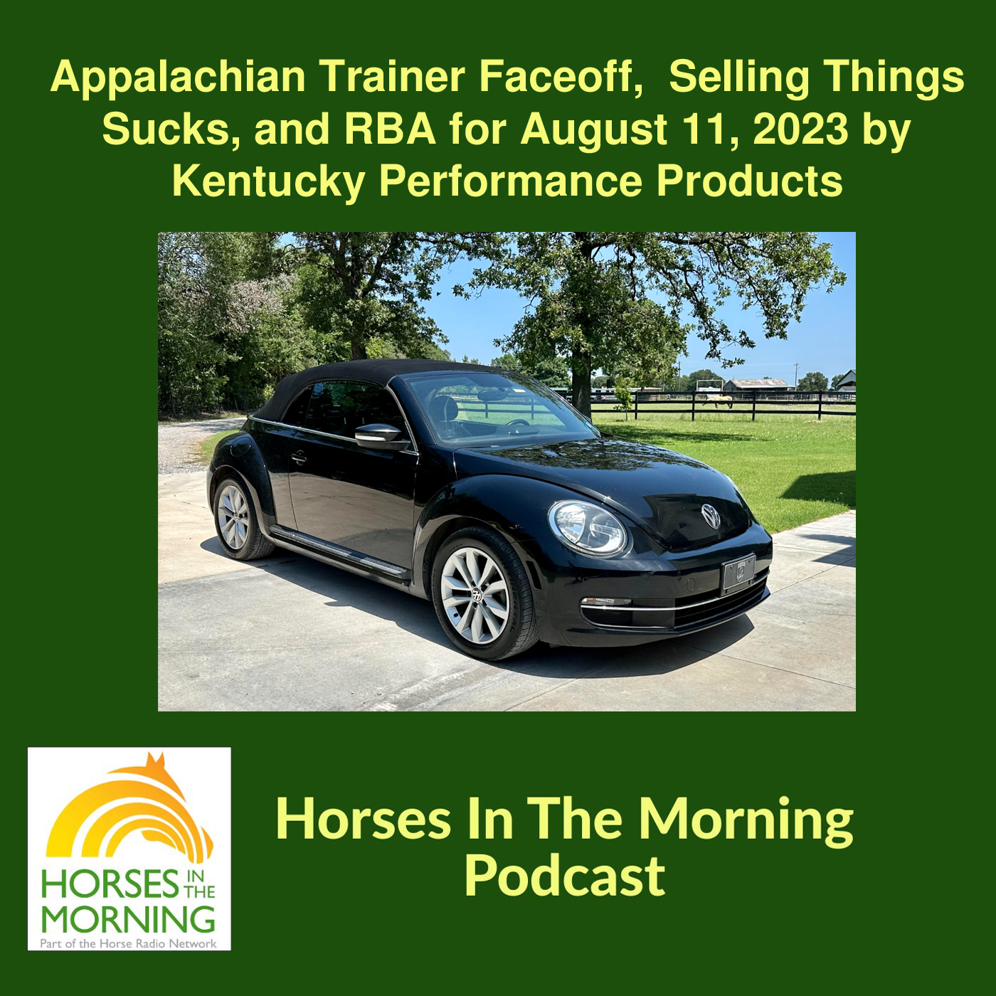 HRN Auditor Podcast