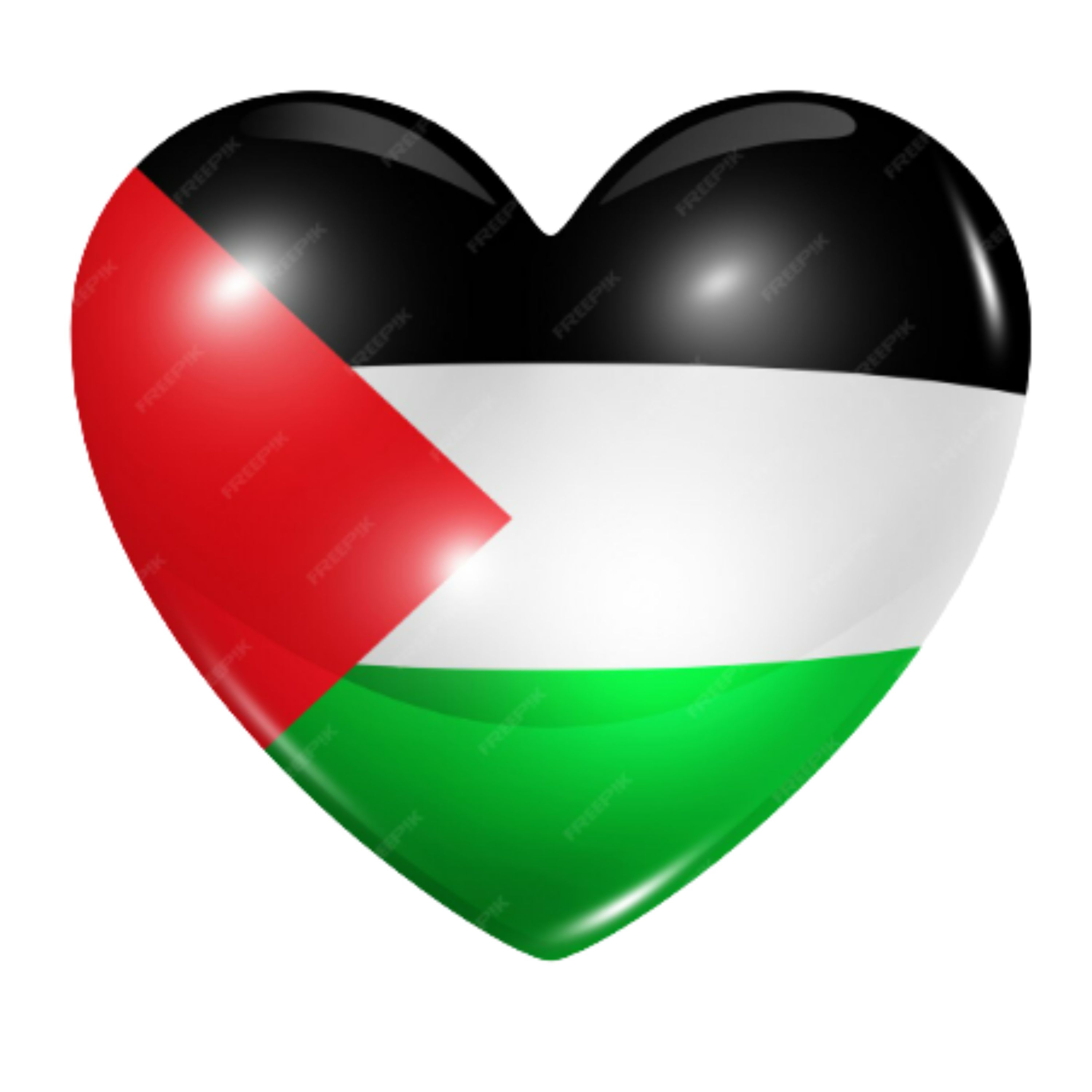 Gaza: what you can do to help?