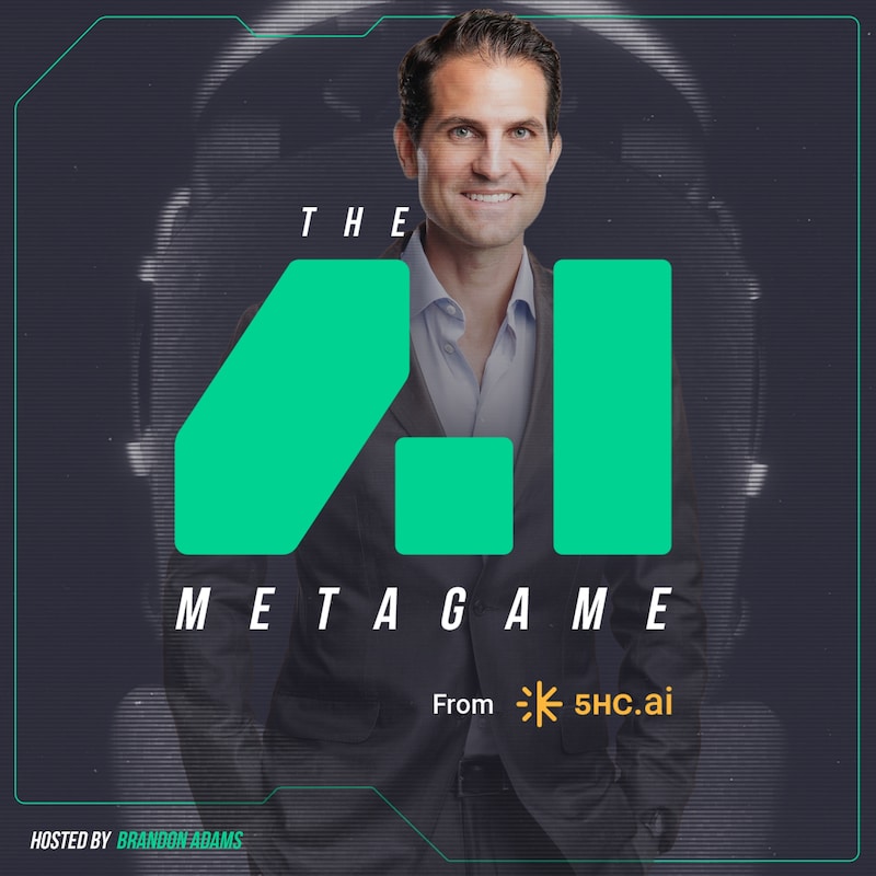 Artwork for podcast The AI Metagame