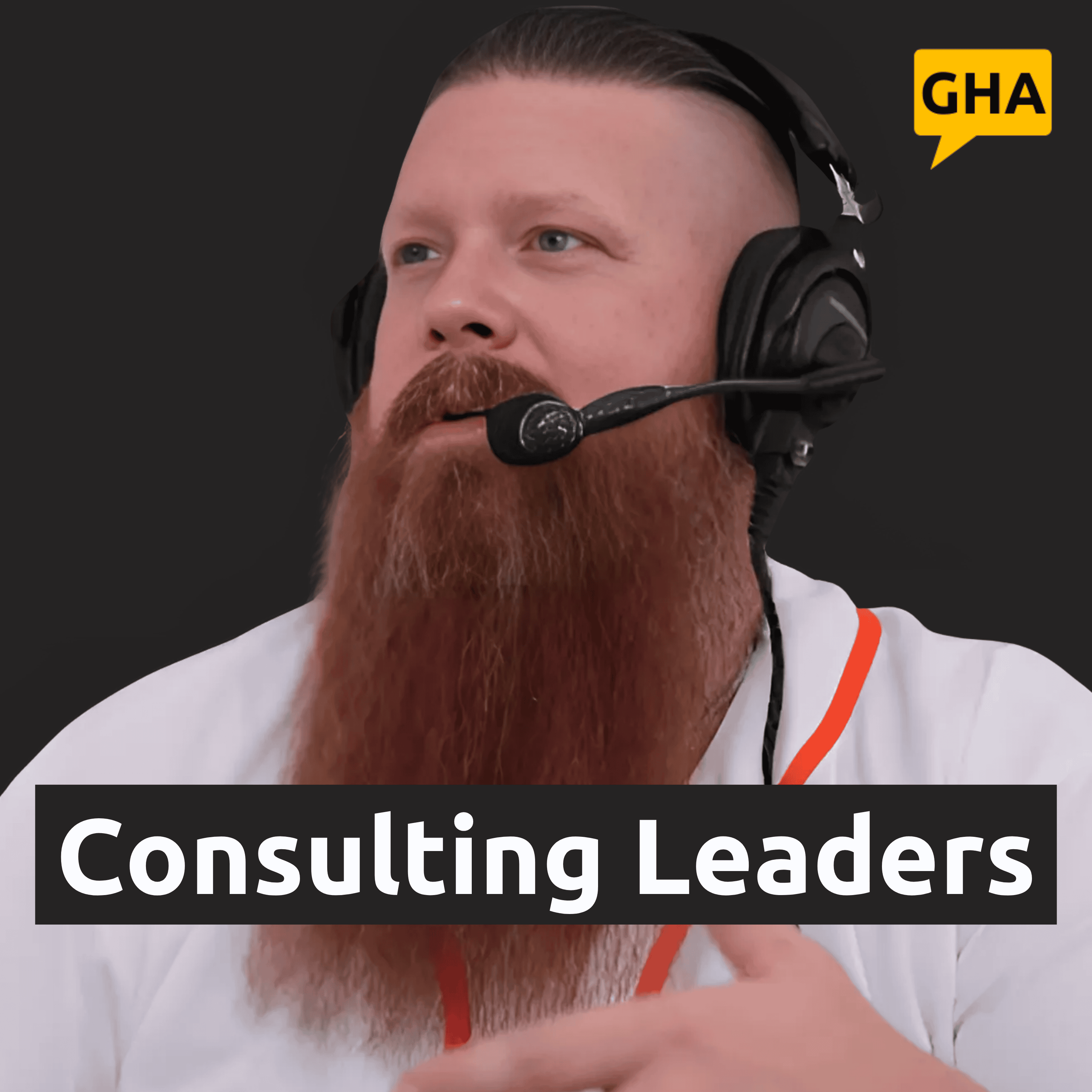 Consulting Leaders