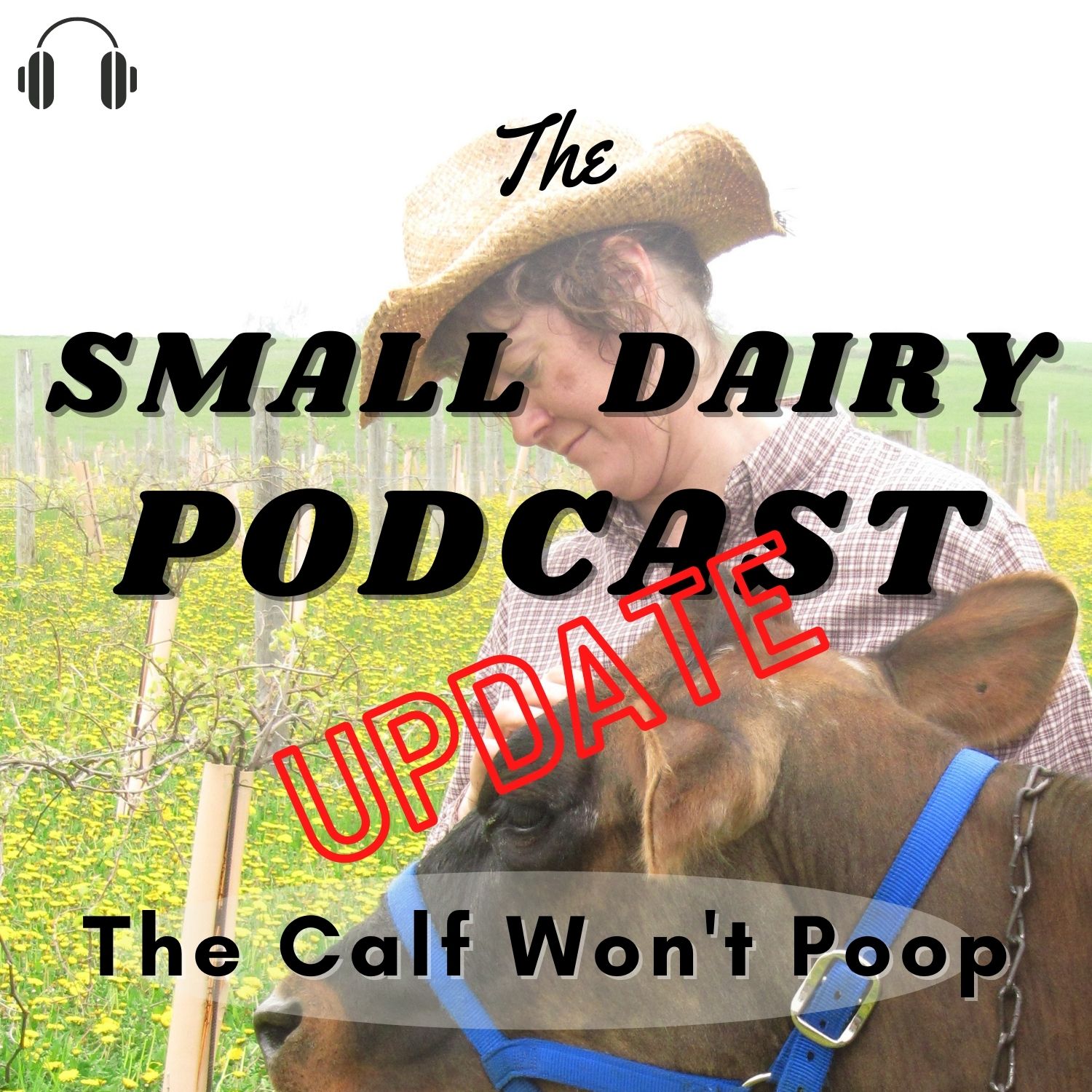 The Small Dairy Podcast