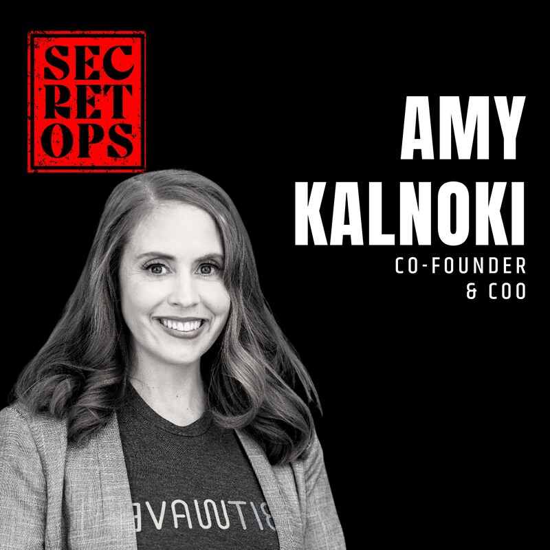 Artwork for podcast Secret Ops