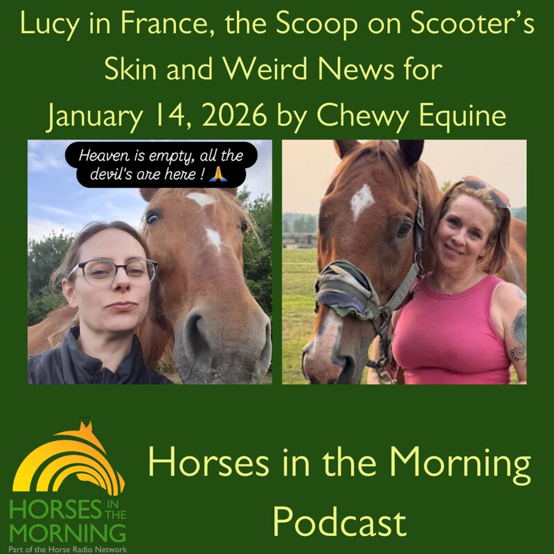 Artwork for podcast Horses in the Morning