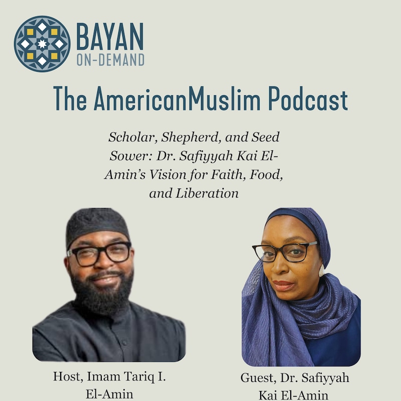 Artwork for podcast The American Muslim Podcast
